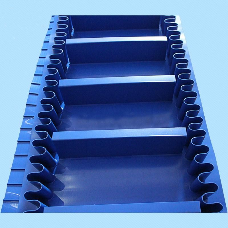 PU/Rubber PVC Belt Conveyor Easy Clean Conveyor