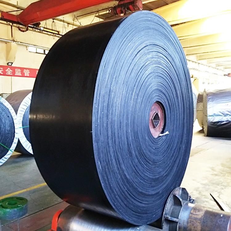 Rma Standard Ep Fabric Rubber Belt Supply