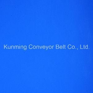 (EM200/2: 0+0.5/1.5SBPU/AS)Conveyor Belt for Food Processing