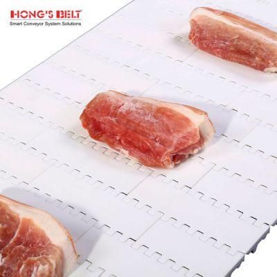 Hongsbelt HS-100A-HD-N Food Grade Flat Top Modular Plastic Conveyor Belt for Fruit and Vegetable Processing Line