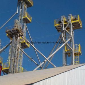 Large Capacity Belt Type Bucket Elevator for Vertical Transport with Good Price