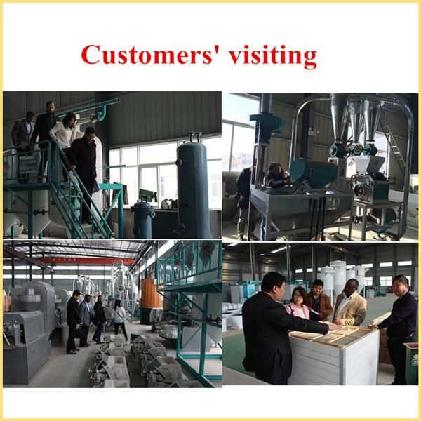 Direct Selling Professional Manufacturer Belt Conveyor