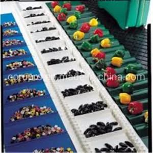 PVC PU Conveyor Belt with Sidewall and Cleat for Food Industry