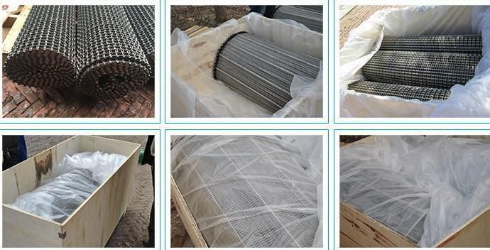 Stainless Steel Conveyor Belt with Flat Spiral Wire.