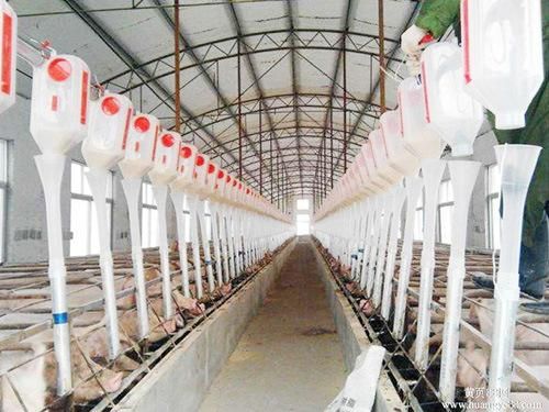 Flexible Auger for Poultry and Livestock Auto Feeding System