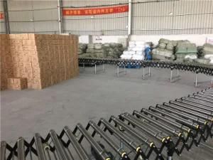 Plain Carbon Steel Dynamoelectric Roller Conveyor Suitable for Home Industry
