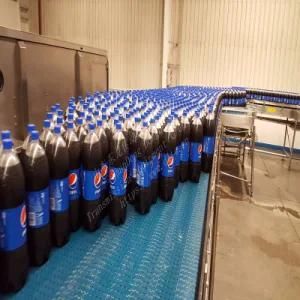 Plastic Top Plate Chain Conveyors for Soft Bottle Drinks