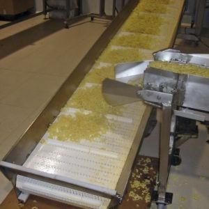 Food Grade Chain Conveyor Machine for Corn Rice