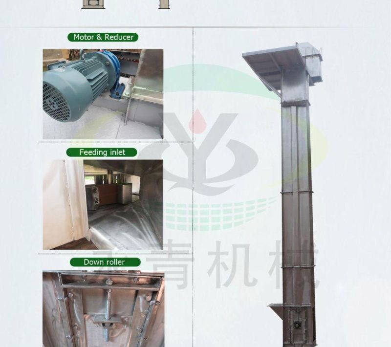 Stainless Steel Vertical Bucket Elevator for Paddy Rice