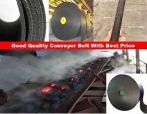 Professional Supplier Belt Conveyor with Best Service and Best Proce