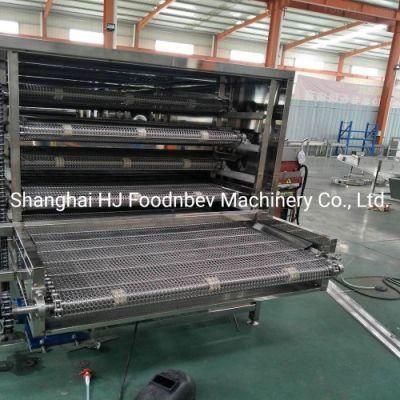 ASTM Standard Stainless Steel Chain Belt Conveyor Manufacturer/Hanging Chain Conveyor
