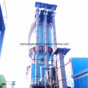 China Customized Professional Grain/Powder Z Type Continuous Bucket Elevator