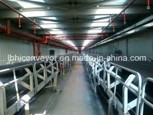 1200mm CE ISO Heavy-Duty Belt Conveyor System for Power Plant