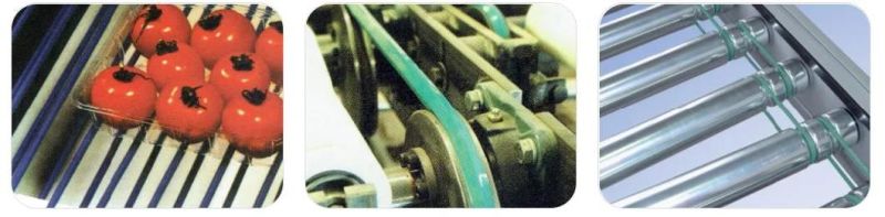 Smooth or Rough Surface Antistatic Polyurethane Conveyor Transmission Belts