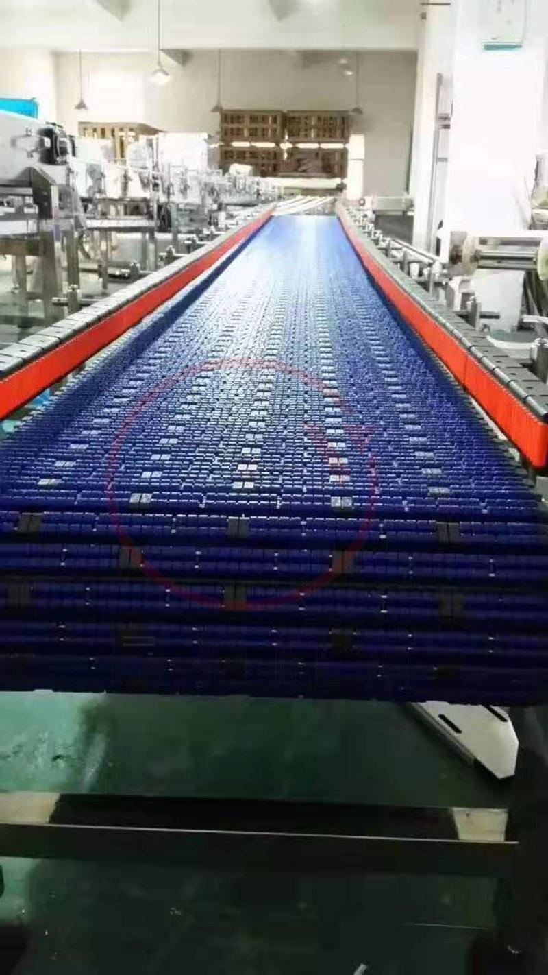 Automative Feeding Chain Conveyor for Beverage Labeling/Filling/Cleaning