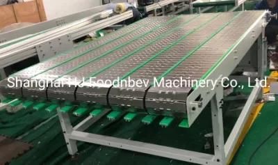 Mesh Conveyor Belt/Stainless Steel Belt Chain Conveyor/Wire Mesh Chain Conveyor