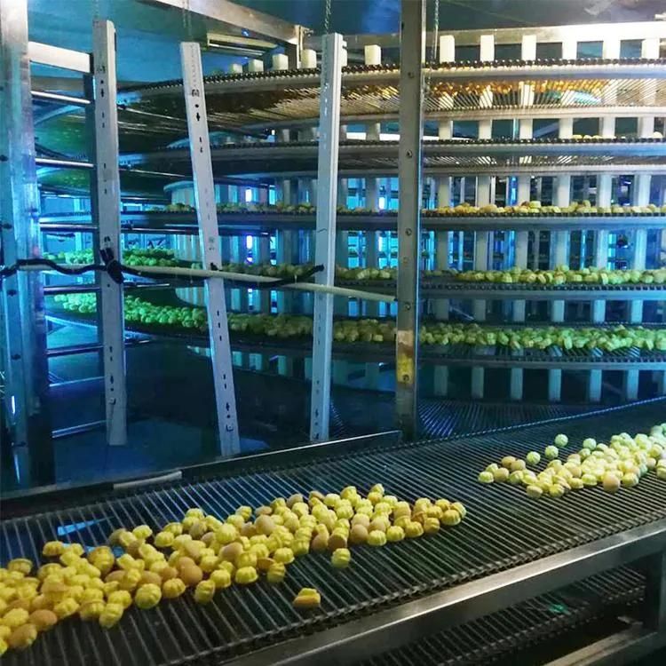 Food Grade Modular Belt Conveyor System for The Material of Moist Seafood Meat Material