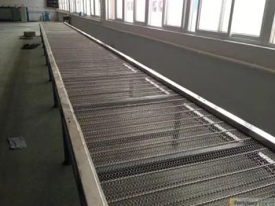 China Manufacturer Bottle Packing Machine Conveyor