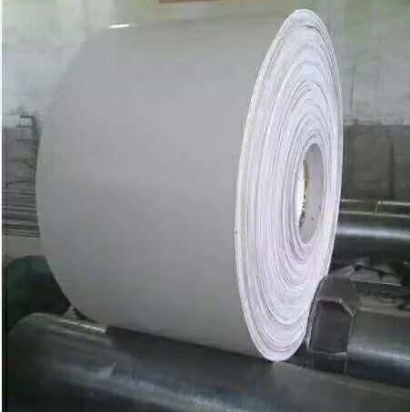 4000mm Width White Heat Resistance Belt Conveyor for Sugar Plant