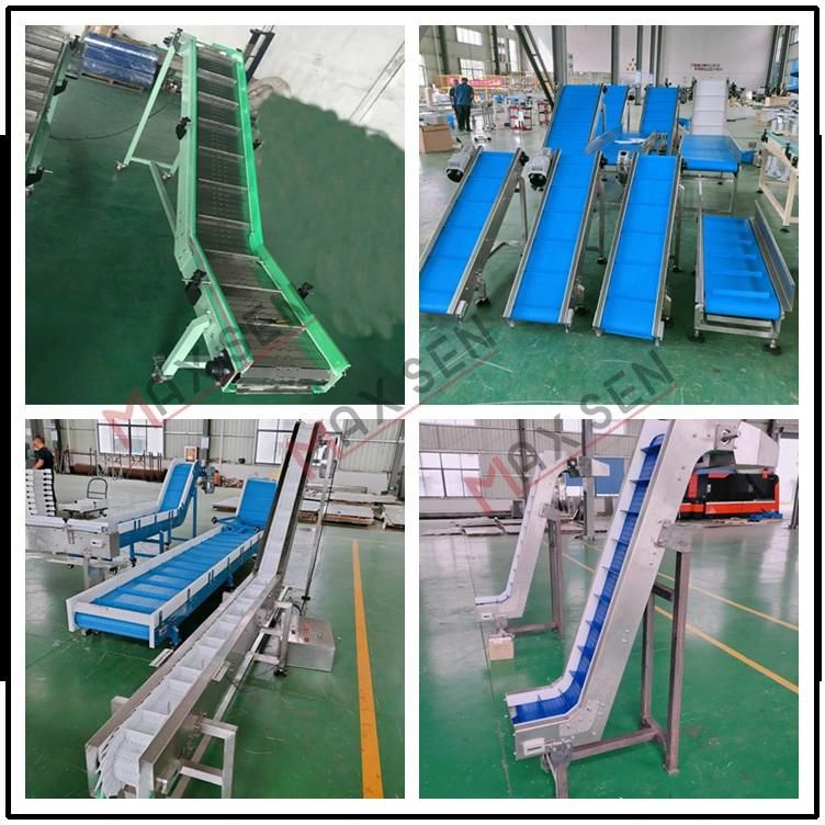 Maxsen 2021 Plastic Modular Belt Conveyor Modular Assembly Belting Conveyor for Food Industry