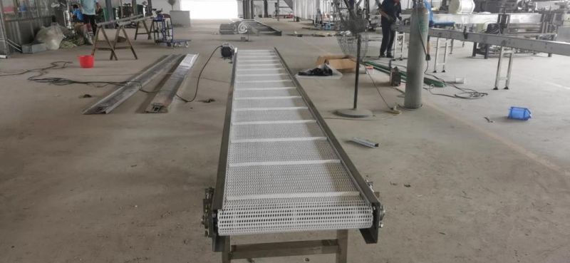 Manufacturer Plastic Mesh Belt Conveyor for Washing Food