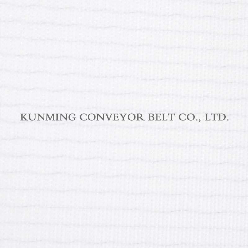 Conveyor Belt PVC Food Grade Light Industry (EM120/2: 0.5DT+3.0BLS/6.0B)